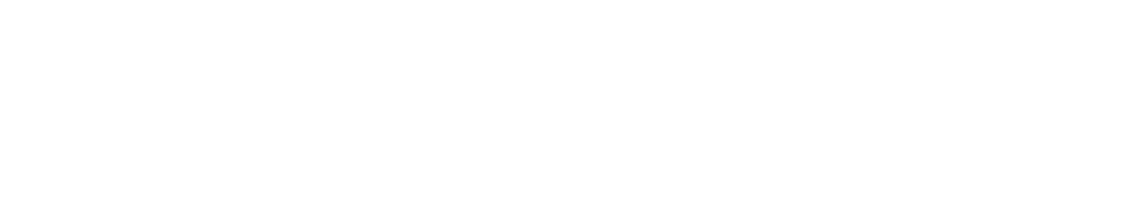 TrueHRIS